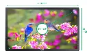 liter (51).webp