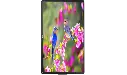 liter (53).webp